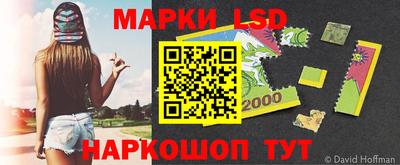 индика Тверь