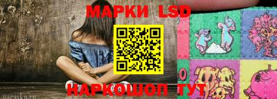 индика Тверь
