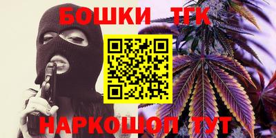 индика Тверь