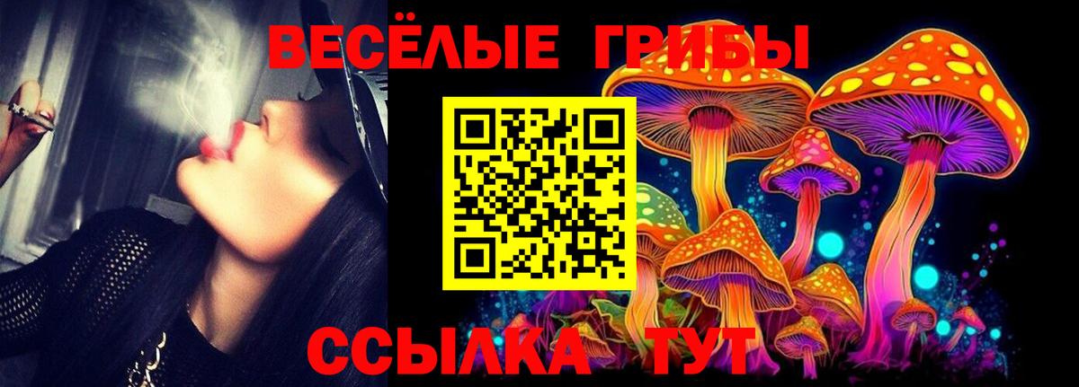 Псилоцибиновые грибы Psilocybe  Псилоцибиновые грибы Psilocybe  Алексин  Вход с VPN 